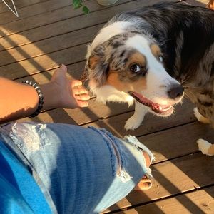 Meet your Posher, Joanna